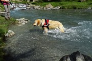 89 Recupera in acqua quanto si getta